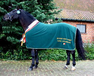 Sulaatik's Chopin, vice-champion 2005